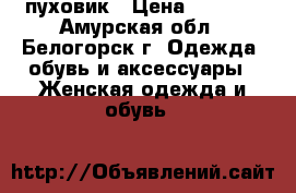 пуховик › Цена ­ 2 500 - Амурская обл., Белогорск г. Одежда, обувь и аксессуары » Женская одежда и обувь   